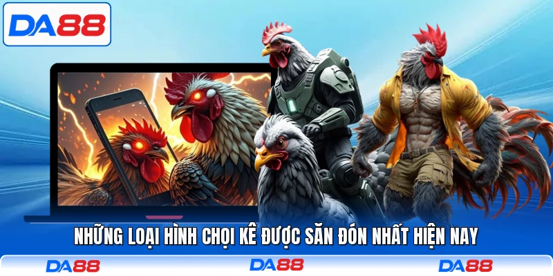 Những loại hình chọi kê được săn đón nhất hiện nay